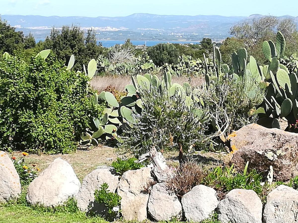 הוילה SantʼAntìoco L'Oasi מראה חיצוני תמונה