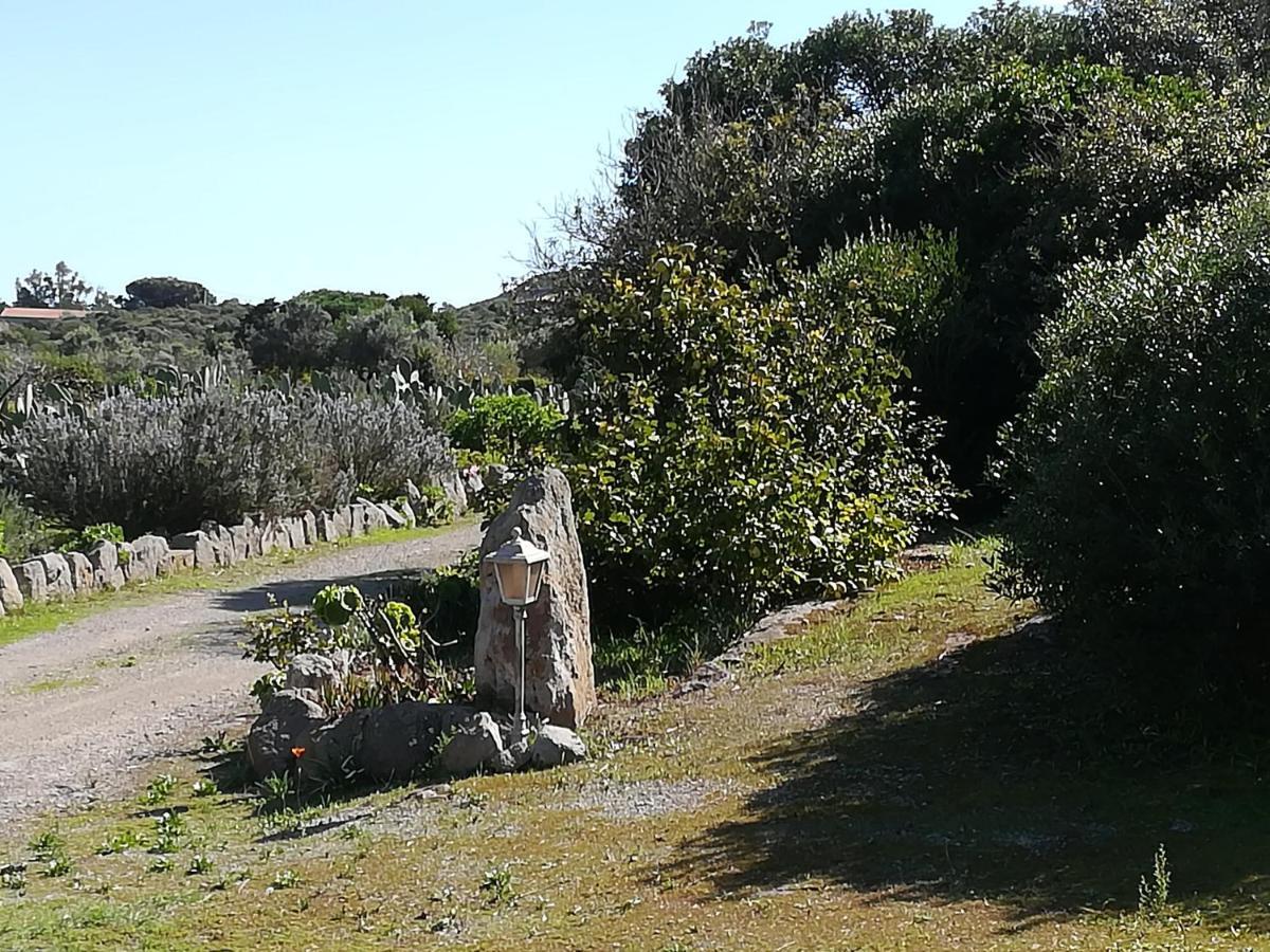 הוילה SantʼAntìoco L'Oasi מראה חיצוני תמונה