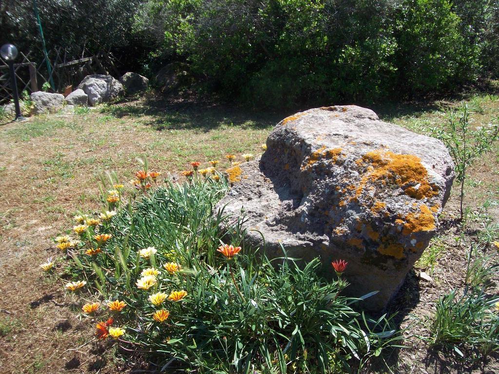 הוילה SantʼAntìoco L'Oasi מראה חיצוני תמונה